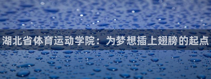 yy易游官网下载平台注册要钱吗：湖北省体育运动学院：