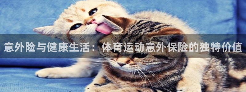 海南yy易游官网下载发展怎么样：意外险与健康生活：体
