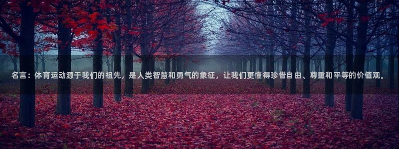 yy易游官方正版app代理：名言：体育运动源于我们的
