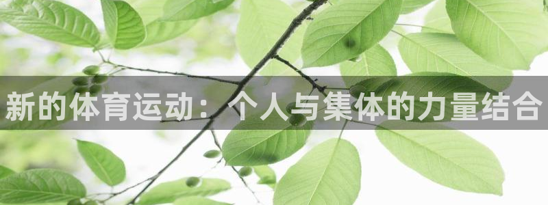 yy易游官方正版app集团官网首页：新的体育运动：个人与集体