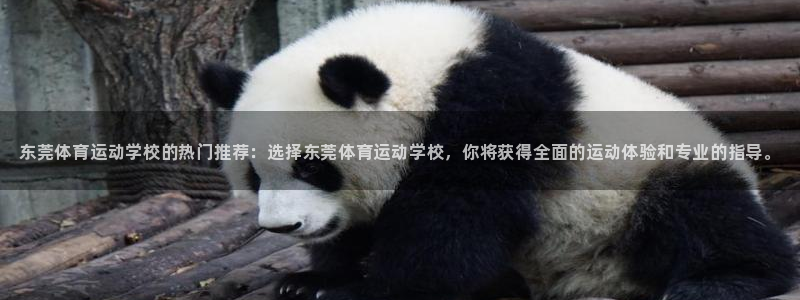 yy易游官方正版app娱乐是那个系列的台子：东莞体育运动学校