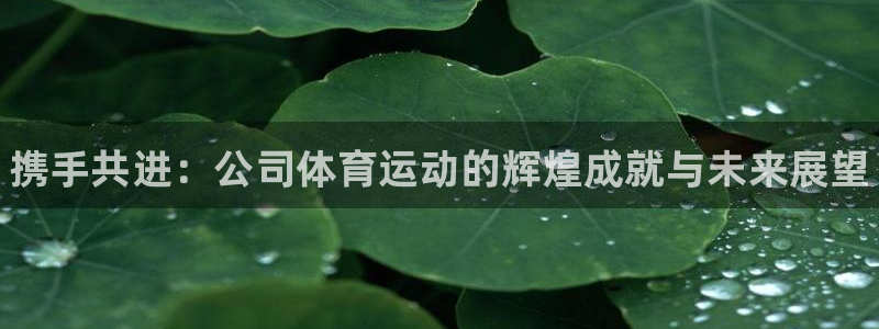yy易游官方正版app代理：携手共进：公司体育运动的辉煌成就