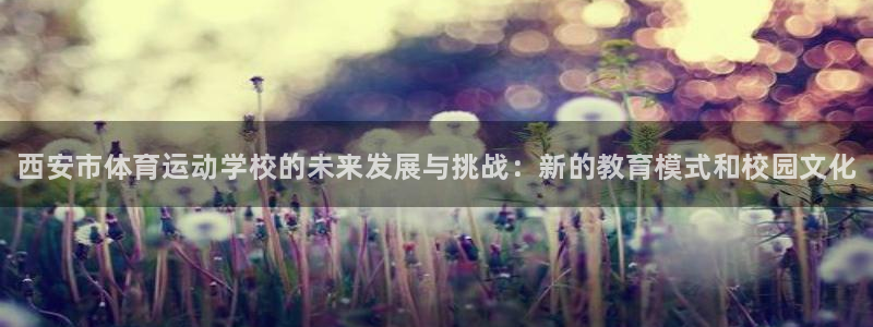 yy易游官方正版app娱乐是那个系列的台子：西安市体育运动学