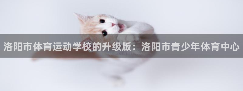 yy易游官方正版app集团logo：洛阳市体育运动学校的升级