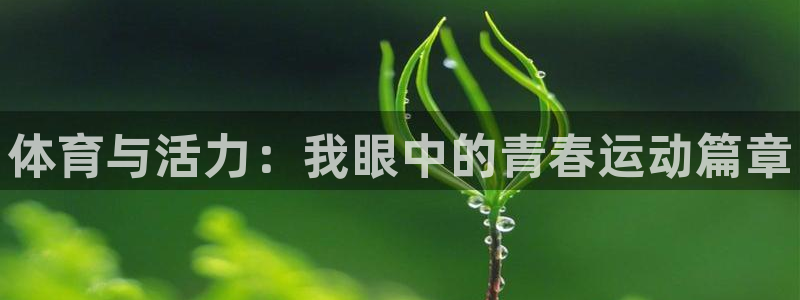 yy易游官网下载招商电话号码是多少号：体育与活力：我