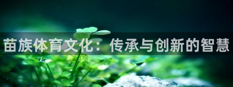 yy易游官方正版app开户：苗族体育文化：传承与创新的智慧