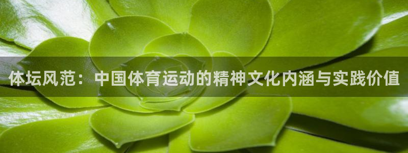 yy易游官方正版app娱乐网站：体坛风范：中国体育运