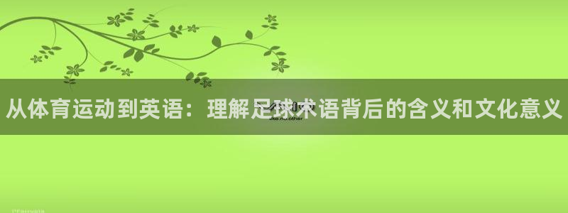 yy易游官方正版app代理：从体育运动到英语：理解足