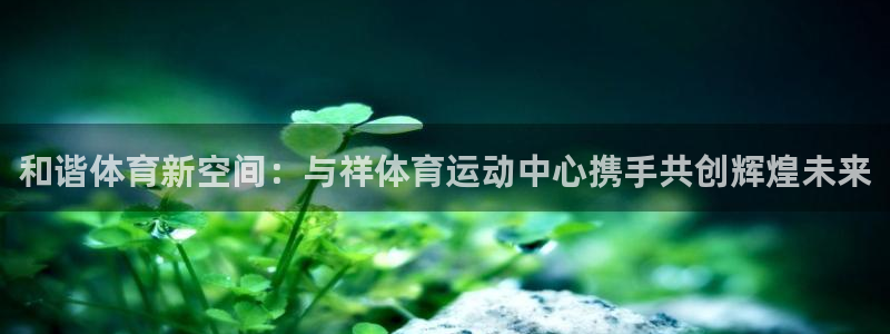 yy易游官网下载招商电话地址查询