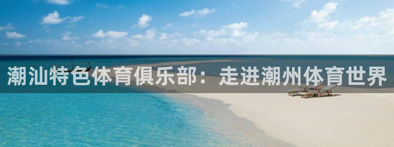 yy易游官方正版app集团简介