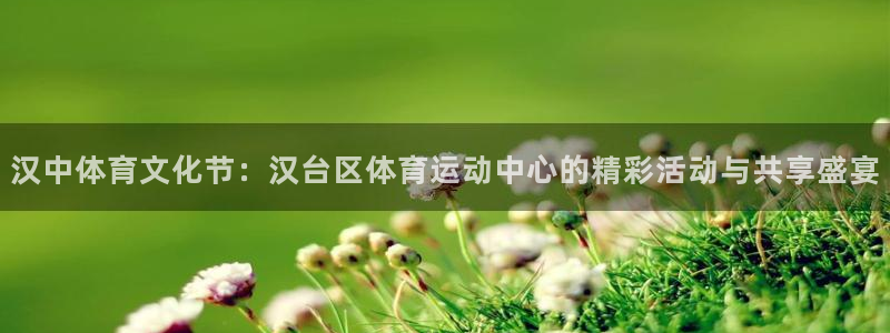 yy易游官方平台体育：汉中体育文化节：汉台区体育运动中心的精