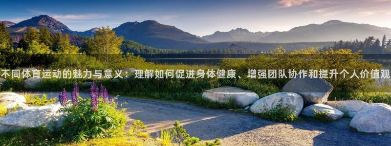 yy易游官网下载是干嘛的公司：不同体育运动的魅力与意义：理解