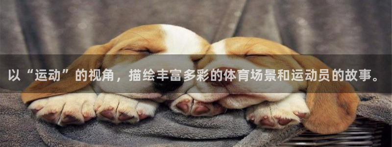 yy易游官方正版app官网：以“运动”的视角，描绘丰富多彩的
