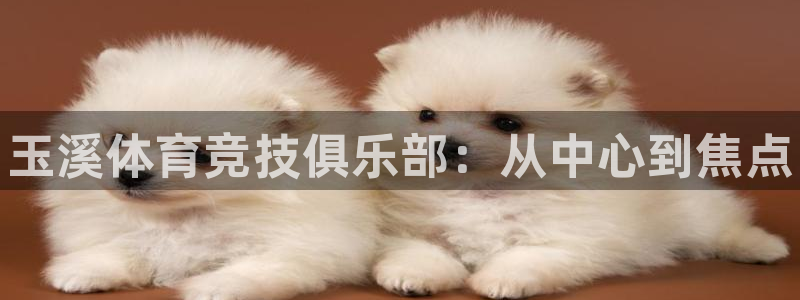 yy易游官方正版app官方：玉溪体育竞技俱乐部：从中心到焦点