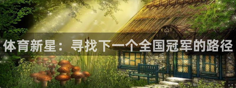 yy易游官方正版app开户：体育新星：寻找下一个全国冠军的路