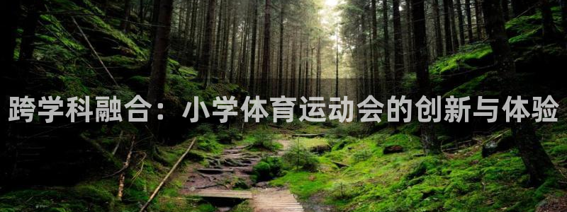 yy易游官网下载：跨学科融合：小学体育运动会的创新与体验