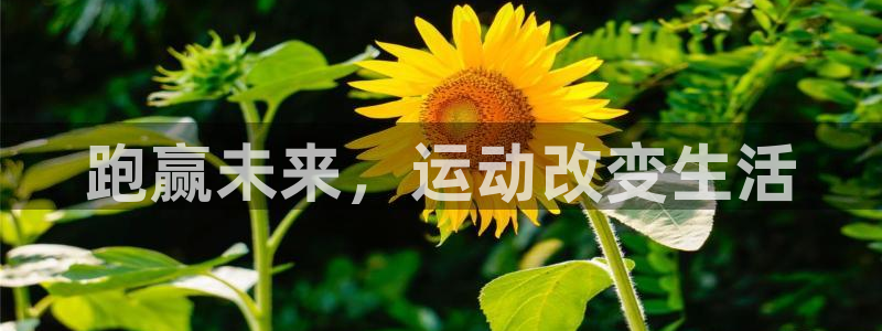 yy易游官方正版app开户：跑赢未来，运动改变生活