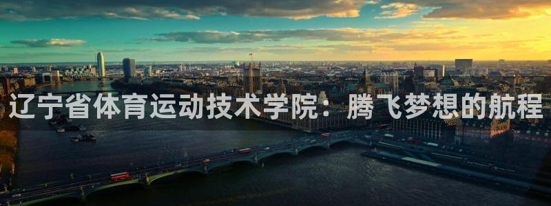 yy易游体育平台
