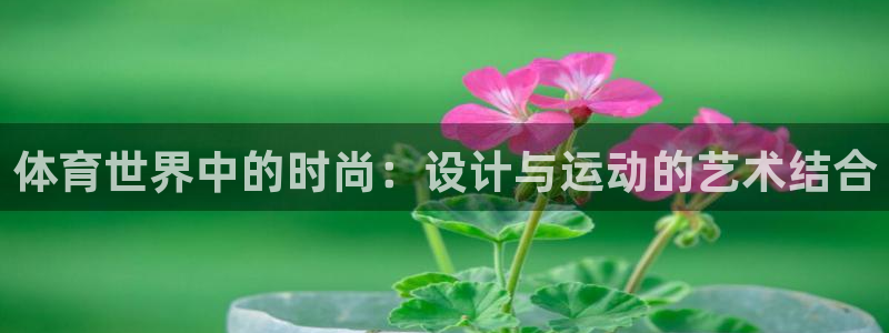 yy易游体育电竞