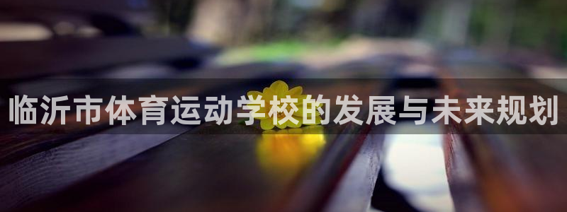 yy易游体育：临沂市体育运动学校的发