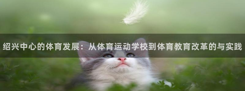 yy易游体育电竞：绍兴中心的体育发展