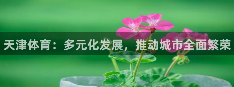 yy易游体育电竞怎么样：天津体育：多