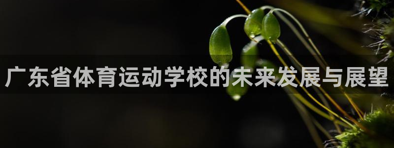 yy易游体育怎么样知乎：广东省体育运