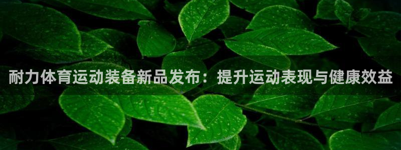 yy易游体育电竞登录不上去了：耐力体