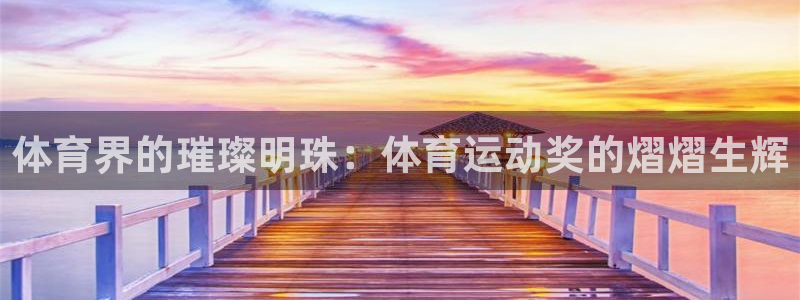 yy易游体育电竞登录不上去：体育界的璀璨明珠：体育运动奖的熠