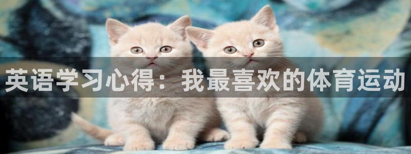 yy易游体育贴吧：英语学习心得：我最