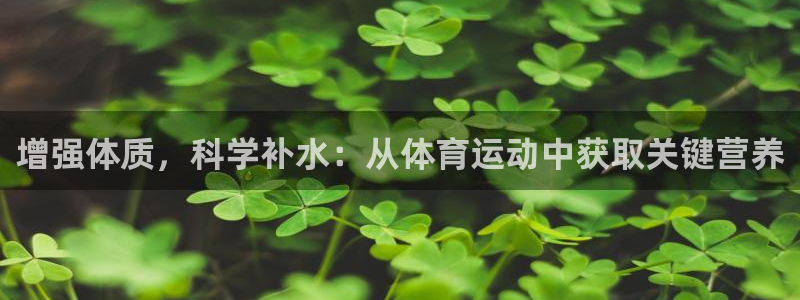 yy易游体育是正规的吗安全吗可靠吗：增强体质，科学补水：从体