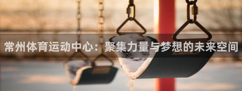 yy易游体育电竞登录不上去了：常州体育运动中心：聚集力量与梦