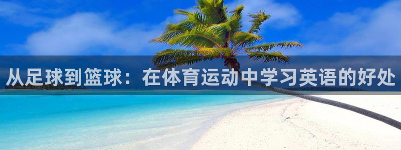 yy易游app最新版本更新内容分享：从足球到篮球：在体育运动