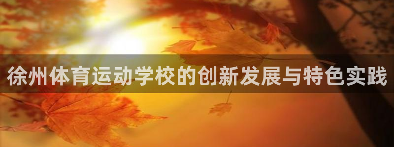  yy易游体育还能撑几年：徐州体育运动学校的创新发展与特色实践