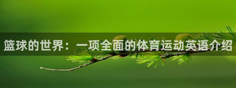 yy易游体育电竞登录不上去：篮球的世