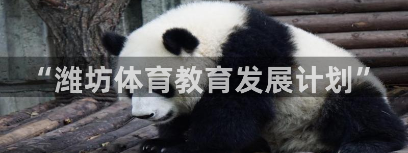 yy易游体育是什么