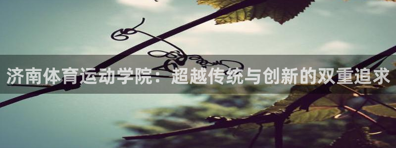 yy易游体育